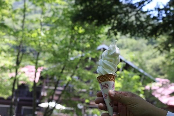 徳澤園のアイスクリーム