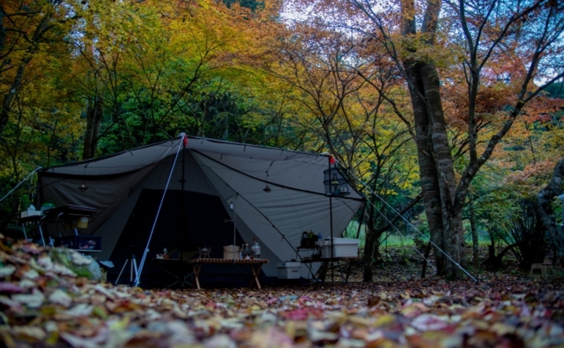 秋キャンプ風景