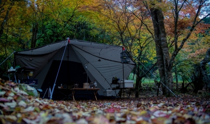 秋キャンプの風景